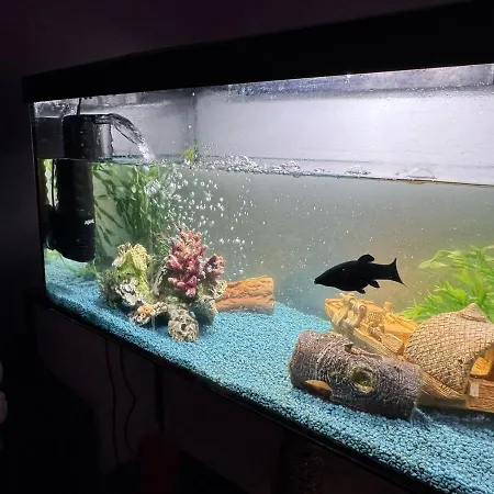 Apartman In The Heart Of