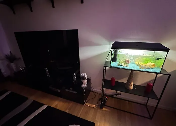 In The Heart Of * Δρέσδη