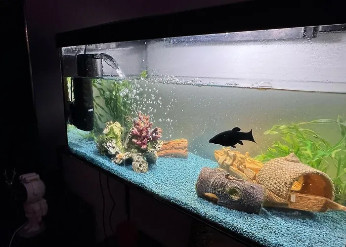 Apartment In The Heart Of